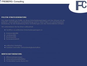 Screenshot freiberg-consulting.de