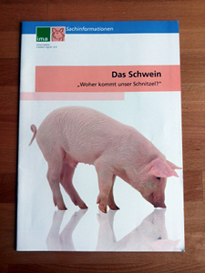 das-schwein